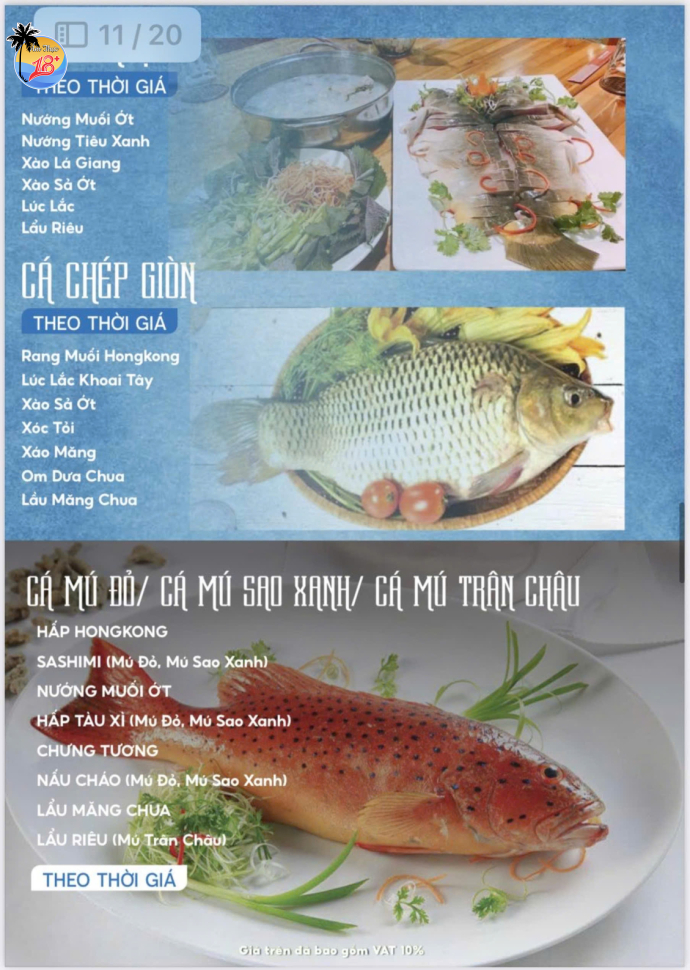 Cá Mú - Cá Chép Giòn